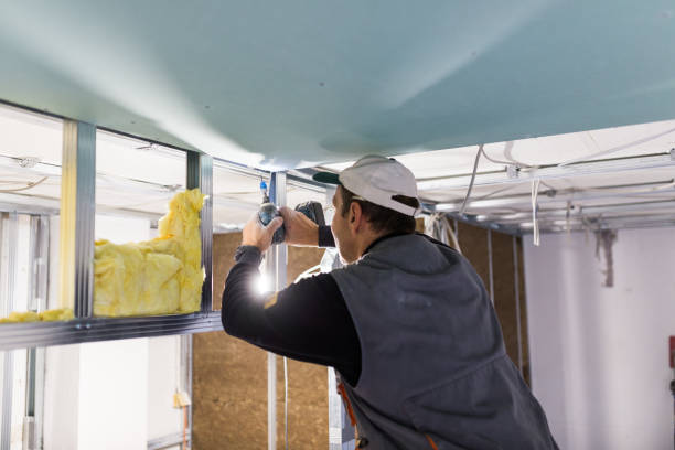 Best Attic Insulation Installation  in Dland, MI