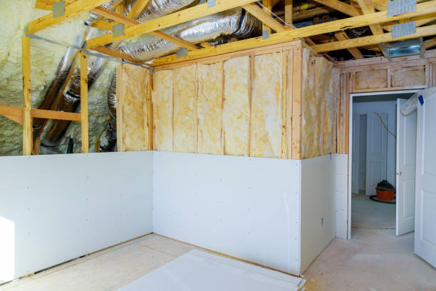 Best Eco-Friendly or Green Insulation Solutions  in Dland, MI